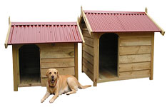 Timber Land Kennels
